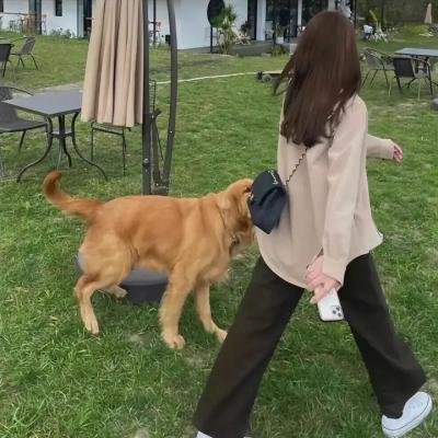 他不笨,他是我爸爸