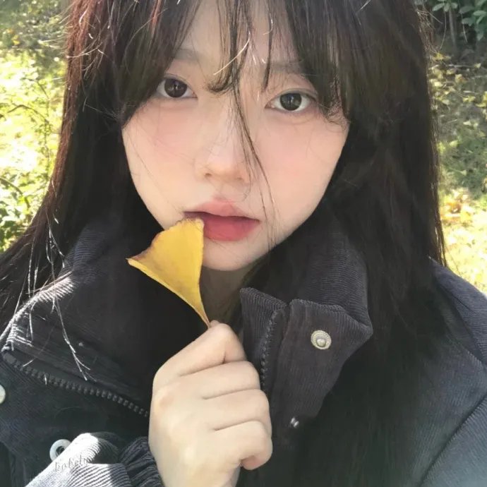 十三格格新传